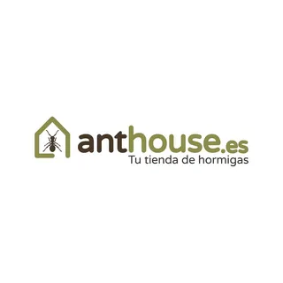  Código Promocional Anthouse