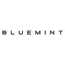  Código Promocional Bluemint